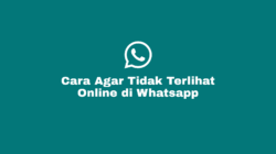 Cara Agar Tidak Terlihat Online di Whatsapp