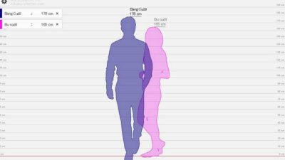 Cara ukur tinggi badan dengan idol melalui web Hikaku Sitatter - Height Comparison Chart