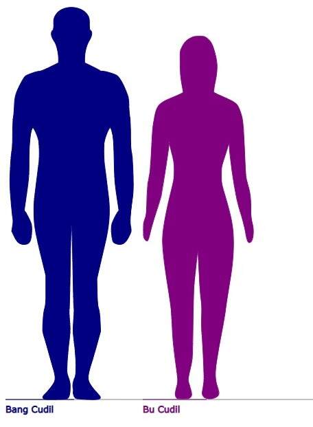 elalui web Comparing Height