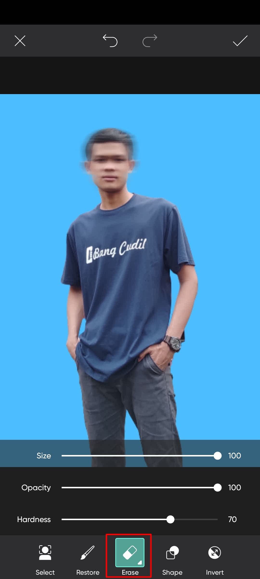 Cara Blur Wajah di PicsArt Keren dan Aesthetic