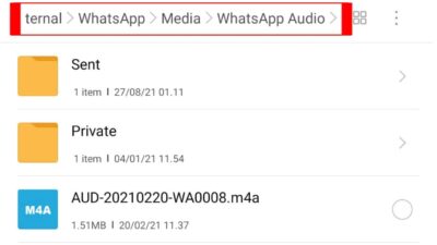 Cara Menyimpan Audio dan Lagu Dari Whatsapp Ke Musik