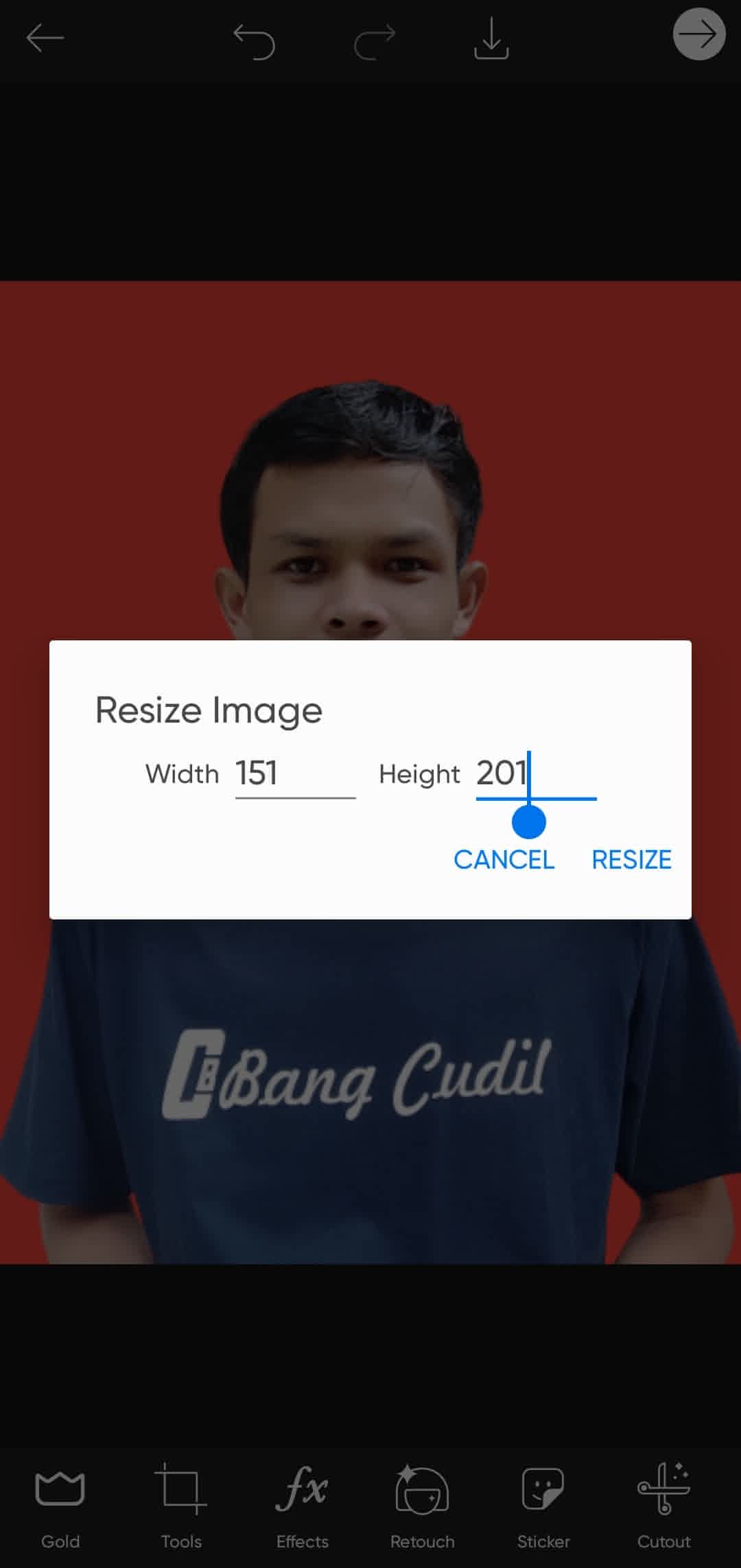 Resize Foto 4x6 di Picsart