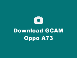 Download GCAM Oppo A73 Terbaru dan Config Terbaik